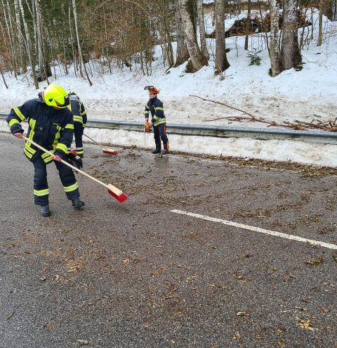 Sturm: Heimische Feuerwehren kaum gefordert